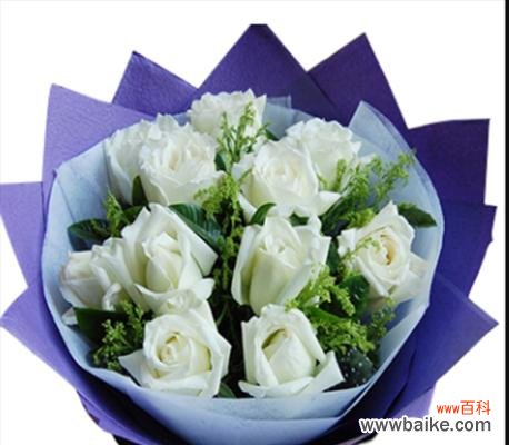 传达心意的花朵,用白玫瑰述说永恒的情感 二十一朵白玫瑰的花语