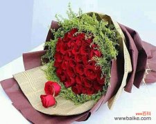 玫瑰花的深刻寓意与浪漫韵味 玫瑰33朵的意义与象征