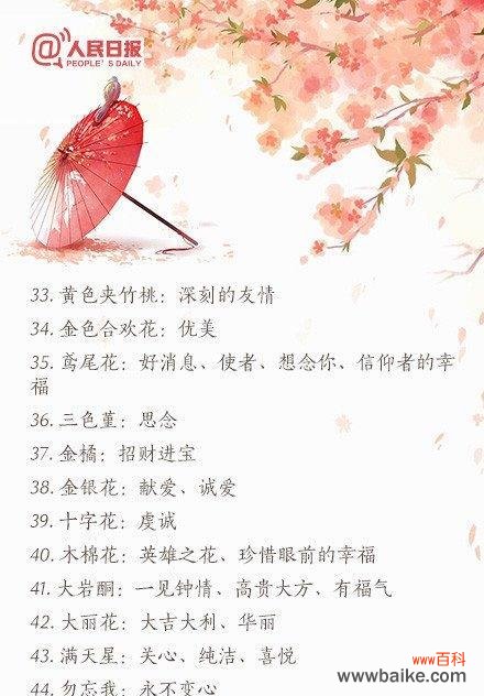 全国花语大全如何查找?全国花语大全包含哪些内容?