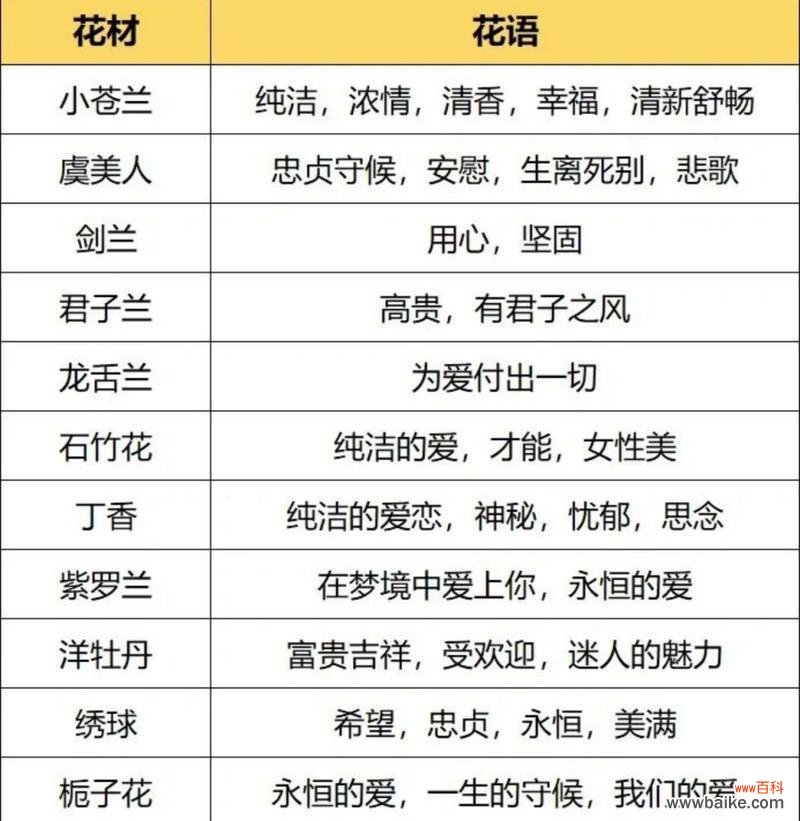 全国花语大全如何查找?全国花语大全包含哪些内容?