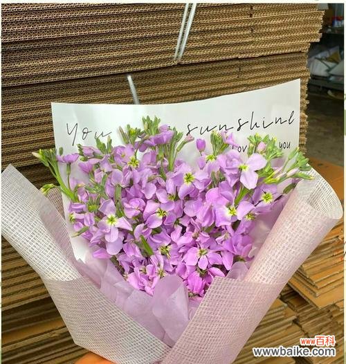 紫罗兰的花语是什么?紫罗兰的象征意义有哪些?