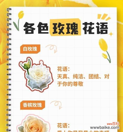 爱而不懂花语是什么意思？如何表达爱意？