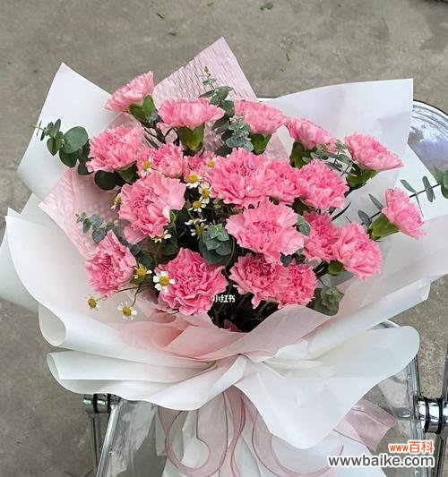 揭开康乃馨花语的神秘面纱 粉色康乃馨的美丽意义