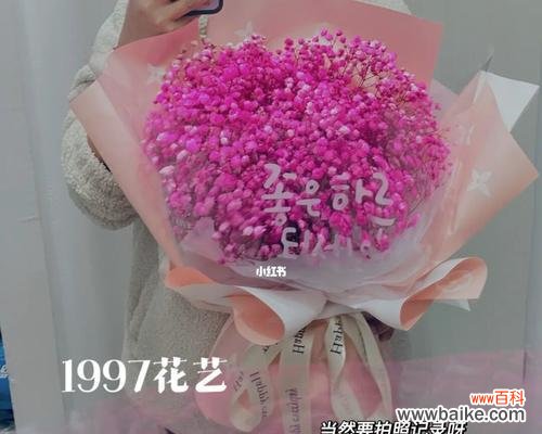 送给朋友、情人和亲人的选择 粉色满天星的花语传递爱与祝福