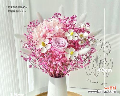 一朵玫瑰花的深情告白与美丽寓意 粉色玫瑰花的花语