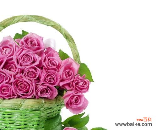 探索粉色玫瑰花代表的含义与象征 粉色玫瑰花的深意