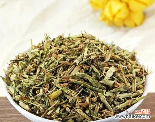 姫瞿麦的花语有哪些?姫瞿麦代表了什么?