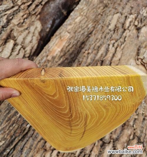 黄金木花的花语有何深意？适合哪种场合？