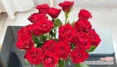 以玫瑰花送多少朵代表什么 玫瑰花代表的含义及送花数量的象征意义