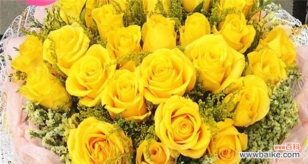 用玫瑰花传达情感 玫瑰花赠送的含义及象征