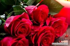 了解玫瑰花的隐藏含义与情感 玫瑰花颜色意味着什么