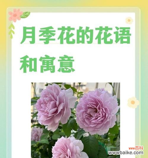 桃子花的花语是什么?它在爱情中代表什么?