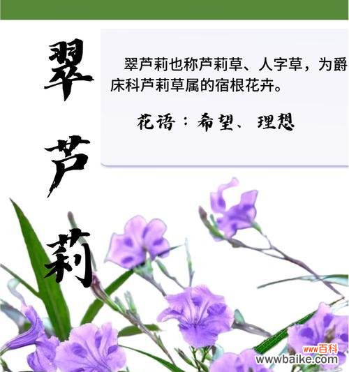 植物花语系列有哪些?如何挑选合适的花卉?