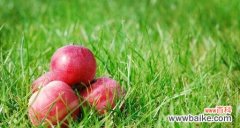 苹果草的花语是什么？它在植物界有何意义？