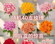 探索玫瑰花语的神秘世界 玫瑰花语颜色代表什么