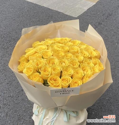 6黄玫瑰花语代表什么含义？