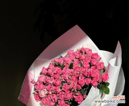 放弃的花语有哪些?哪种花代表放弃?