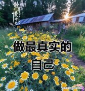 筒蒿花的花语有哪些？它在传统医学中的地位？