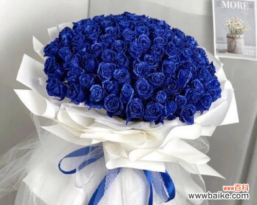 白野蔷薇的花语是什么?它在婚礼中的应用?