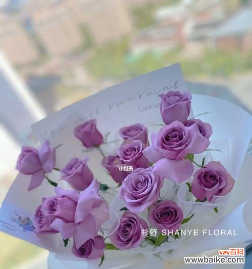 探究紫色玫瑰的情感和文化内涵 紫色玫瑰的意义与象征