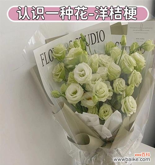 蓝洋桔梗花语代表什么?