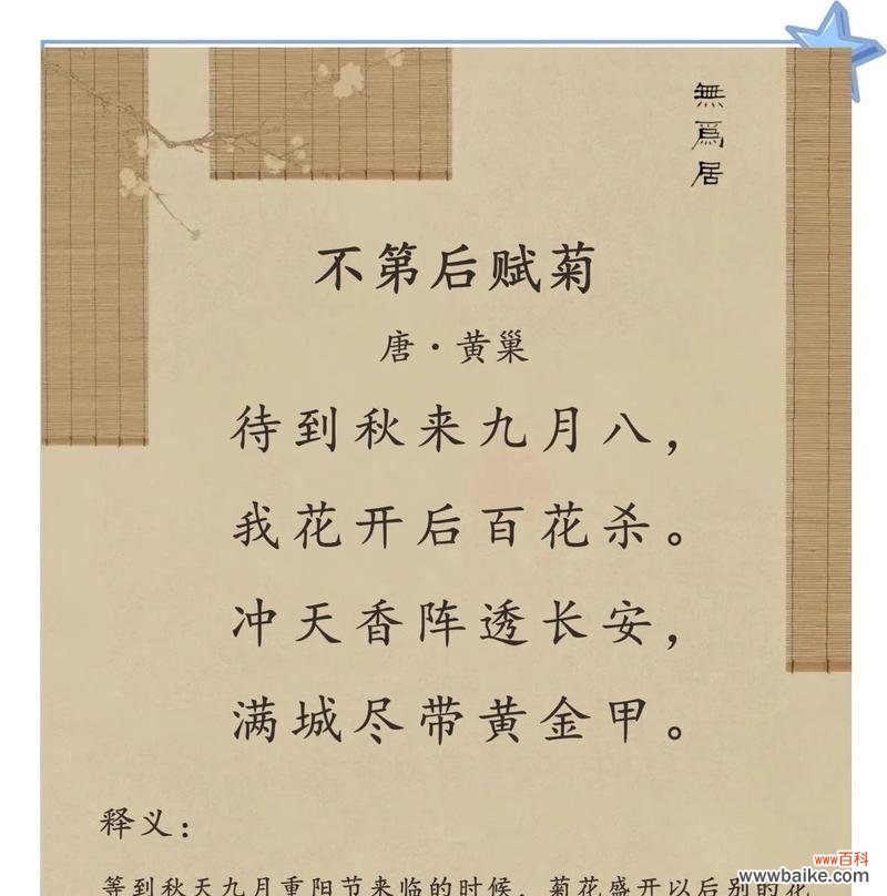 黄小菊花花语是什么?