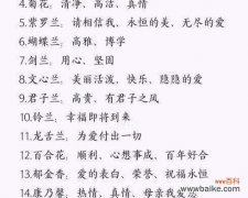 瓦松花语代表什么？