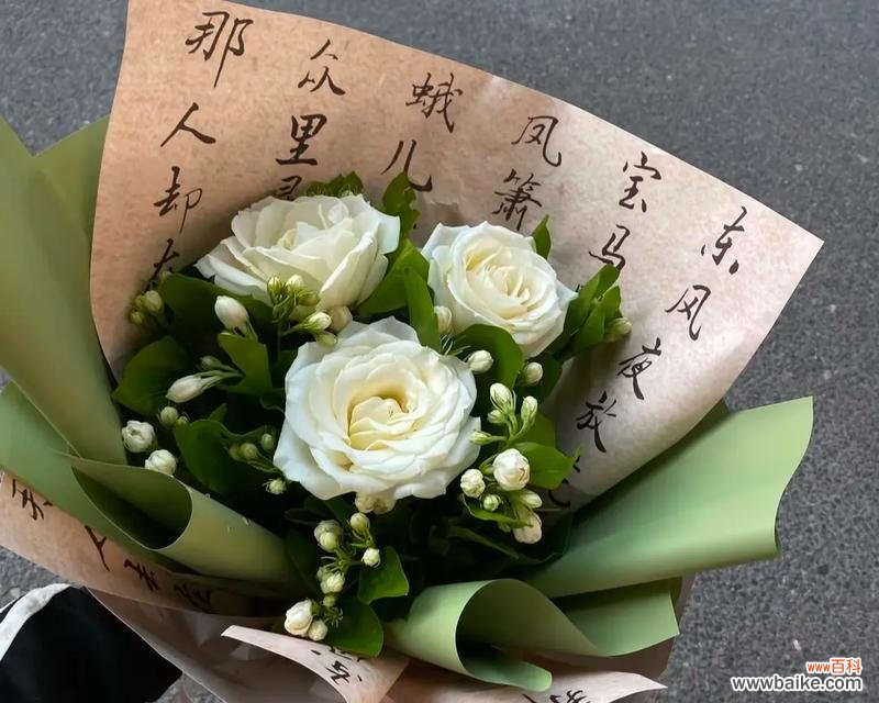 白玫瑰花语是什么?