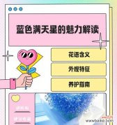 满天星的花语是什么？满天星花语有哪些含义？