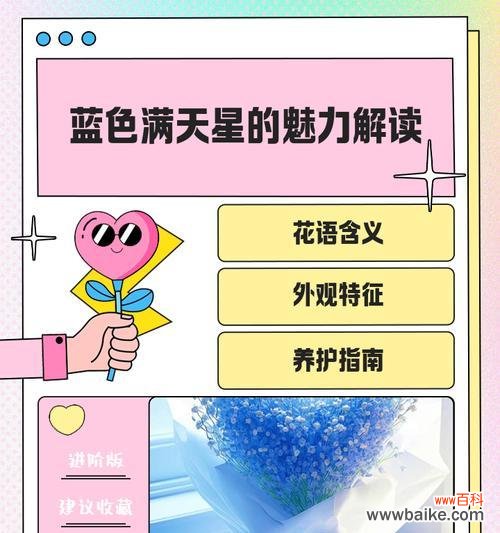 满天星的花语是什么？满天星花语有哪些含义？
