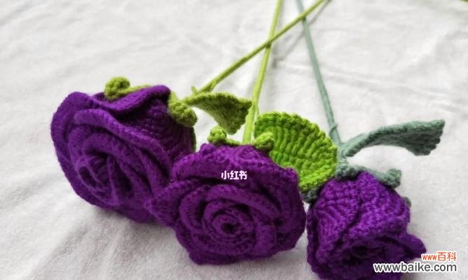 揭秘紫色玫瑰的花语与文化底蕴 紫色玫瑰花的寓意及象征意义