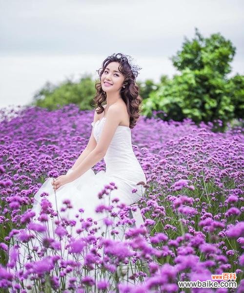 探寻紫色薰衣草的花语及其传递的情感 紫色薰衣草的花语与美丽意境