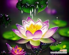 优昙仙花的花语是什么？优昙仙花代表什么？