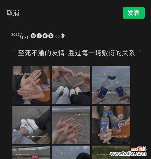 朋友关系花语有哪些?如何用花语维护友谊?