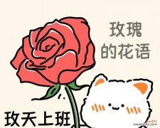 猫巷里的花语是什么？如何用花语表达对猫的喜爱？