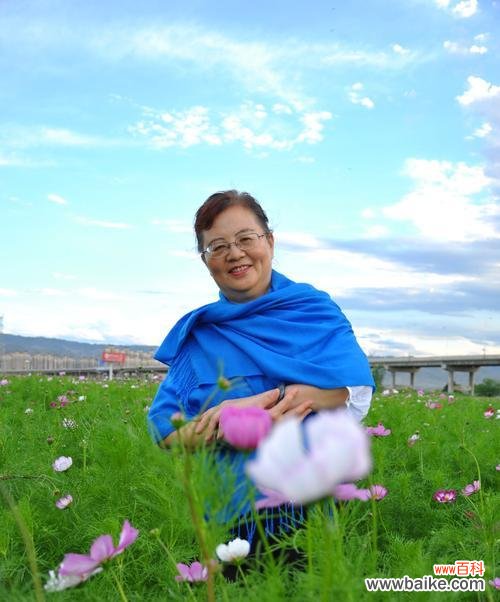 满天香的花语代表什么?如何用满天香表达情感?