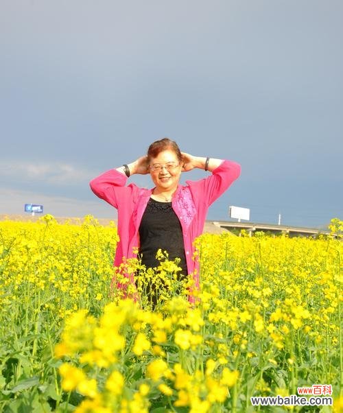 满天香的花语代表什么?如何用满天香表达情感?