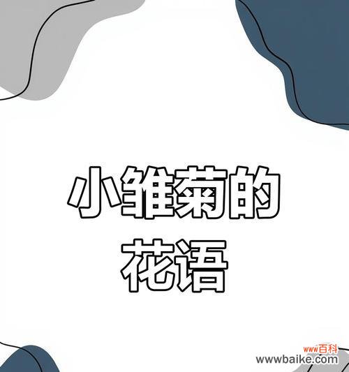 雏菊朵数花语是什么意思？如何用雏菊表达情感？