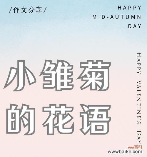 雏菊朵数花语是什么意思？如何用雏菊表达情感？