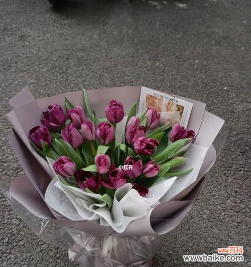 解读紫色郁金香的神秘与浪漫 紫色郁金香花语的深刻含义