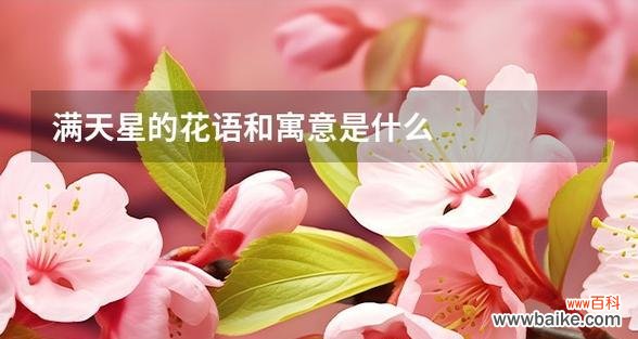 满天星的花语是什么？它在花语中代表什么？