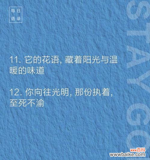 香日葵的花语有何深意?如何用它来传递祝福?