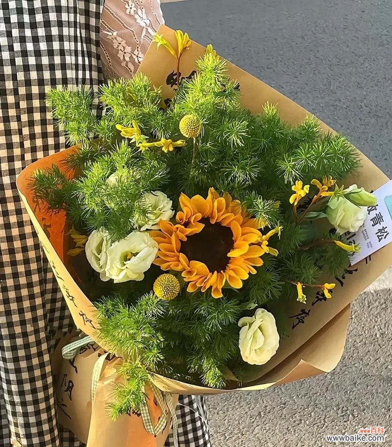 香日葵的花语有何深意?如何用它来传递祝福?