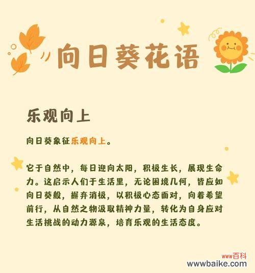 香日葵的花语有何深意?如何用它来传递祝福?