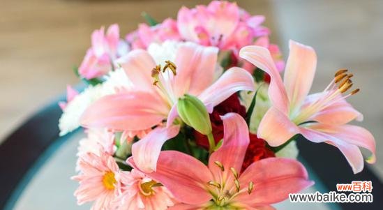 解读橙色百合花的花语与文化内涵 橙色百合花的象征意义与特点