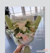 以花言情谊 友谊之花