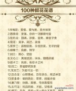 麦菊秆花语代表什么？寓意有何特别之处？