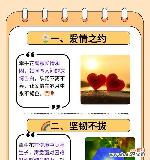 心形花花语有何深意?如何用它来传达爱意?