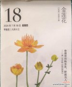 风之莲的花语有何特别之处？如何种植？