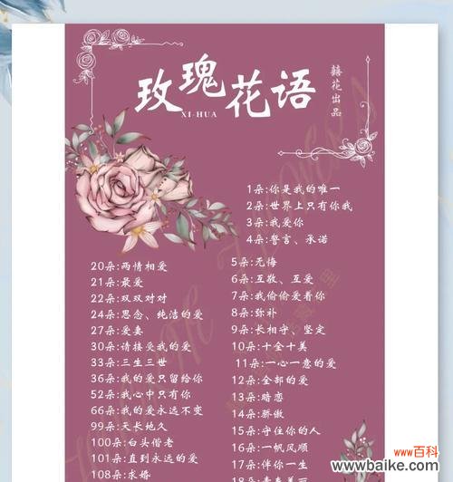 玫瑰凤仙的花语是什么?它在花语中象征着什么?